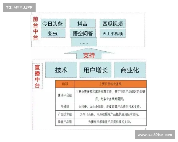 全面解读欧协杯决赛赛制规则与关键流程梳理深度解析指南篇目
